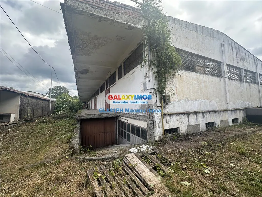 Inchiriere hale in Campina, Jud. Prahova - foto 12