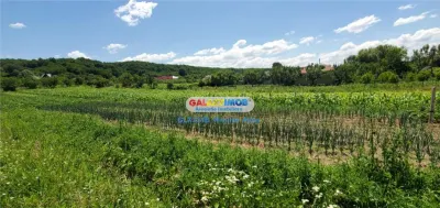 Teren intravilan comuna Bogati sat Birloi Jud. Arges - foto 6