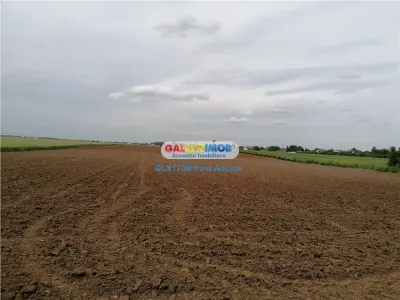 Teren Balotesti str Lunii  7400 mp intravilan - foto 2