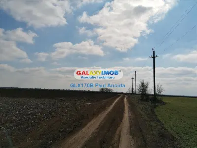 Teren Balotesti str Fabricii 28800 mp  canalizare - Balotesti