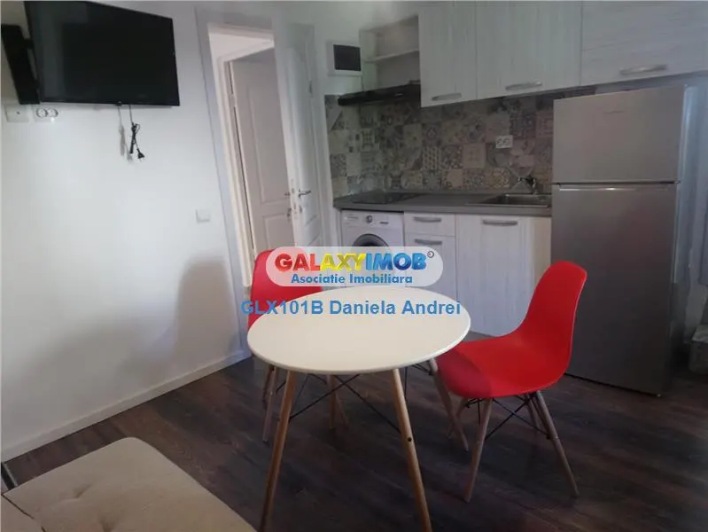 INCHIRIERE IN VILA GARSONIERA SAU 2 CAMERE ZONA EMINESCU POLONA - foto 14