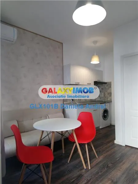 INCHIRIERE IN VILA GARSONIERA SAU 2 CAMERE ZONA EMINESCU POLONA - foto 15