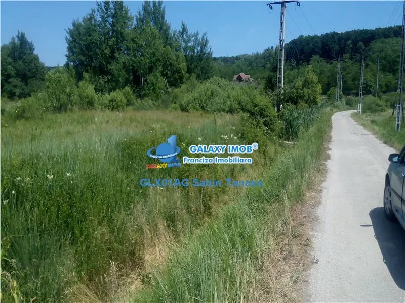 de vanzare terenintravilan 2000mp Dedulesti Arges - foto 1