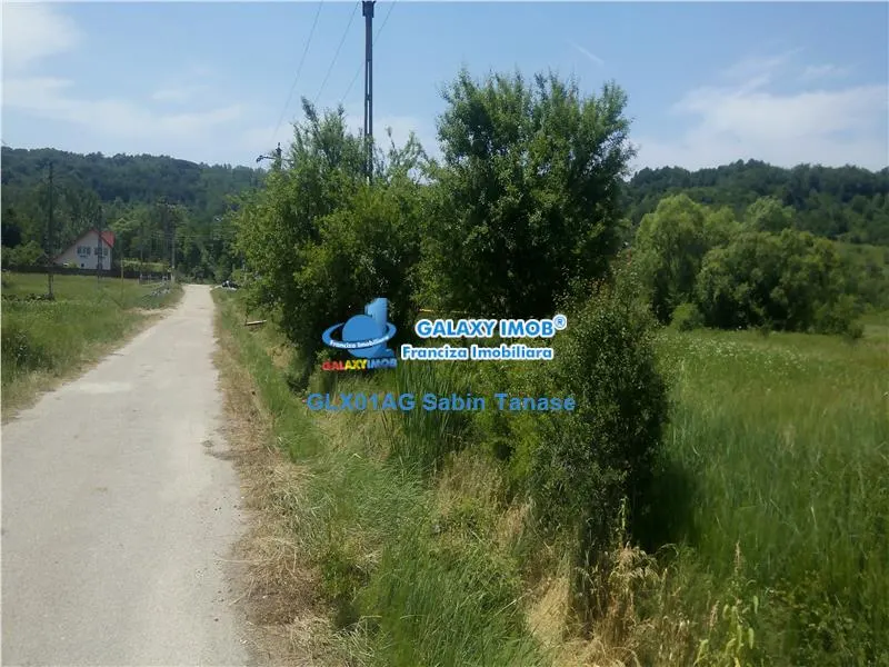 de vanzare terenintravilan 2000mp Dedulesti Arges - foto 3