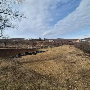 Teren  extravilan de vanzare – Bistrita, Valea Rusului - Bistrita
