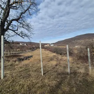 Teren  extravilan de vanzare – Bistrita, Valea Rusului - foto 3