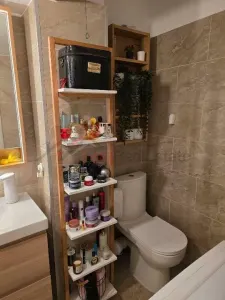Apartament doua camere Theodor Pallady 2017 - foto 14
