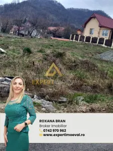 Ocazie Teren in Baia Mare 700 MP str Razoarelor - Baia Mare