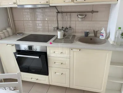 Inchiriere Apartament 2 Camere Nicolae Grigorescu - foto 13