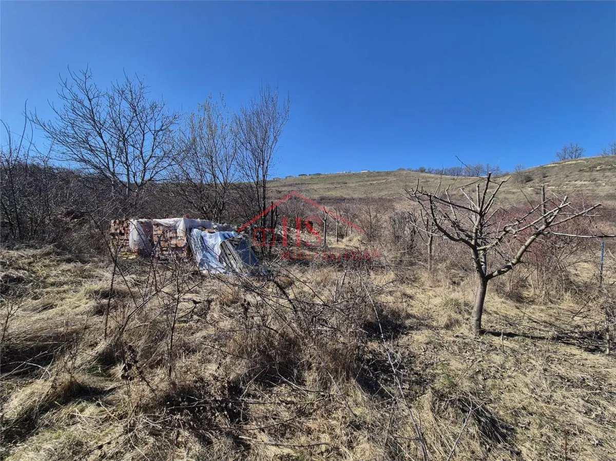 Teren intravilan, zona superba. Colonia Sopor, Cluj Napoca - foto 4