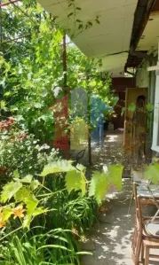 zona Liceu Balcescu Casa caramida+boltari cu teren=158 mp, Deschidere 8,8m - Braila