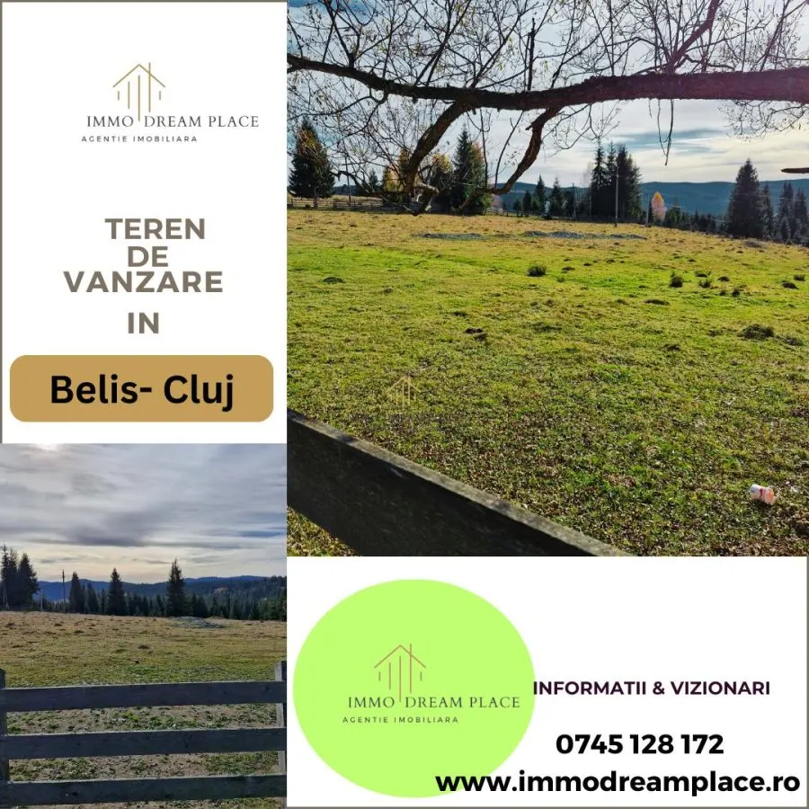 Teren de vanzare in Belis - foto 1
