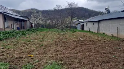 TEREN GURA VITIOAREI - foto 3