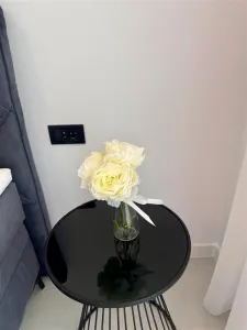 Vanzare apartamet 2 camere bloc nou, Paulesti - foto 18