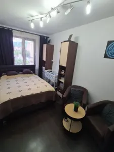 Apartament 3 camere Vlahuta renovat,mobilat,108000 Euro neg - foto 6