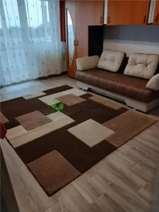GARSONIERA MOBILATA-UTILATA FAGET,350 EURO - foto 6