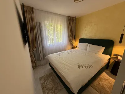 2 CAMERE LUX CENTRUL CIVIC-CEC BANK 117.500 - Brasov