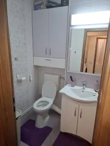 3 CAMERE TRACTORUL - foto 3