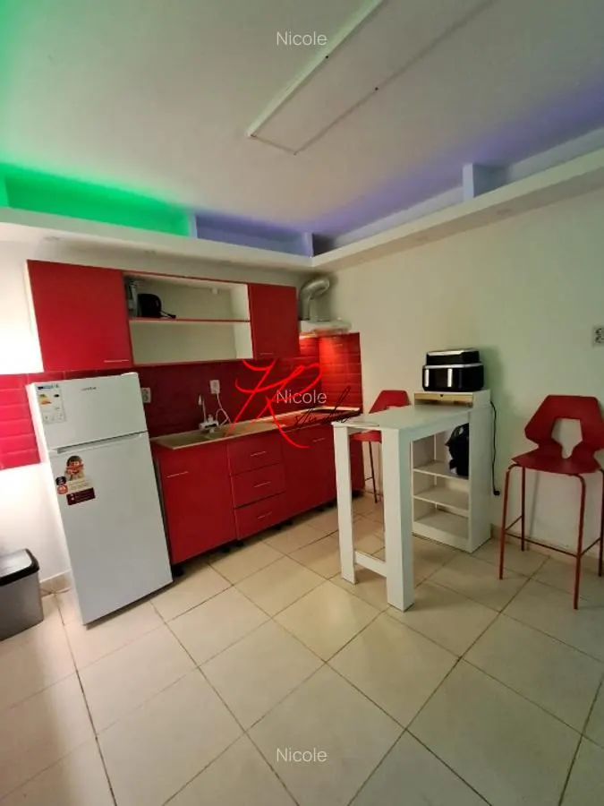 Vanzare garsoniera Mosilor in vila - foto 1