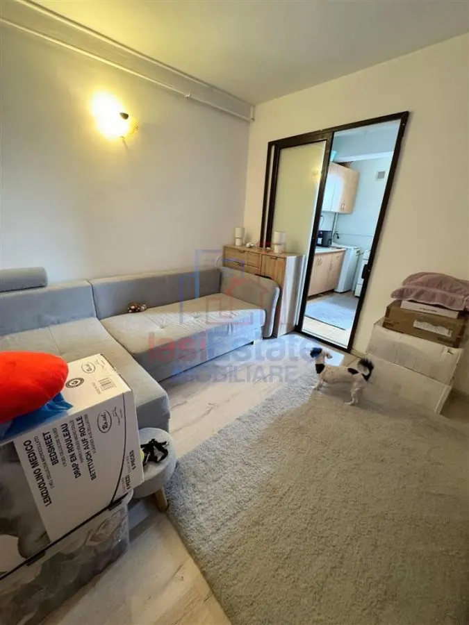 Garsoniera de vanzare str Plaiesilor Alexandru cel Bun - foto 3