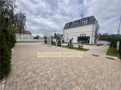 Vanzare spatiu comercial si curte generoasa, in Paulestii Noi - Paulestii Noi