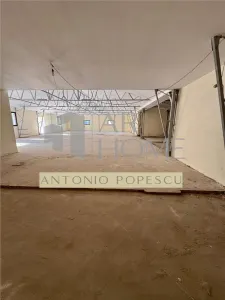 Ansamblu format din teren, platforma betonata si hale industriale, in Brazi, judetul Prahova. - foto 8