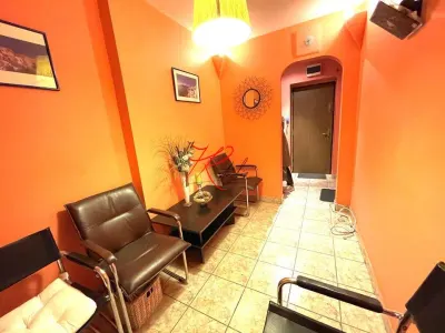 Vanzare apartament 2 camere Stefan cel mare, renovat - foto 4