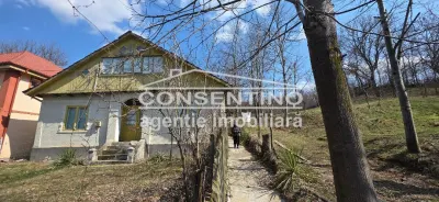 Se vinde casa in Tisau  , cu priveliste panoramica asupra delurilor - Tisau