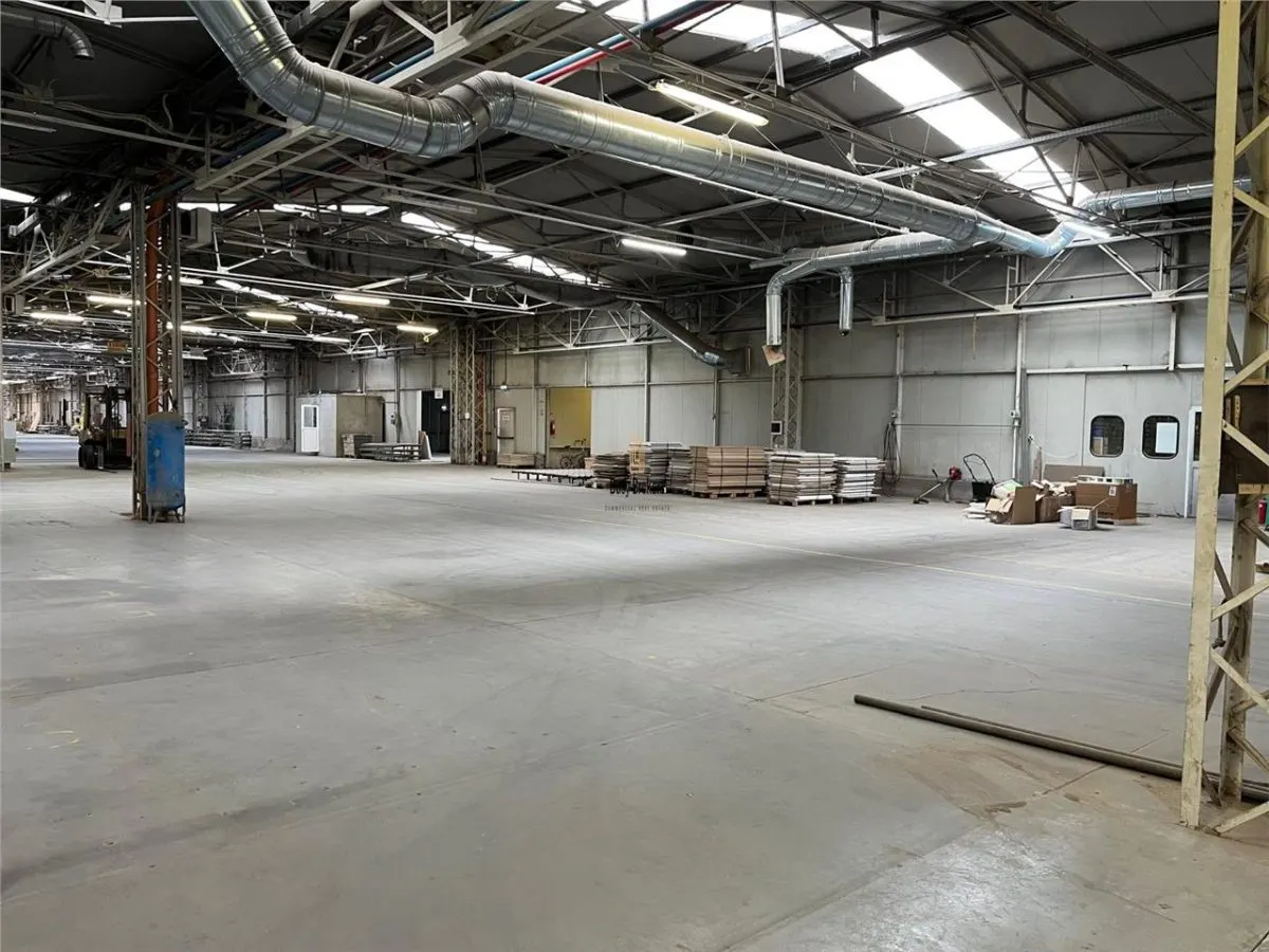 Proprietate Industriala - 16000 mp - Productie - Depozitare - Office - foto 16