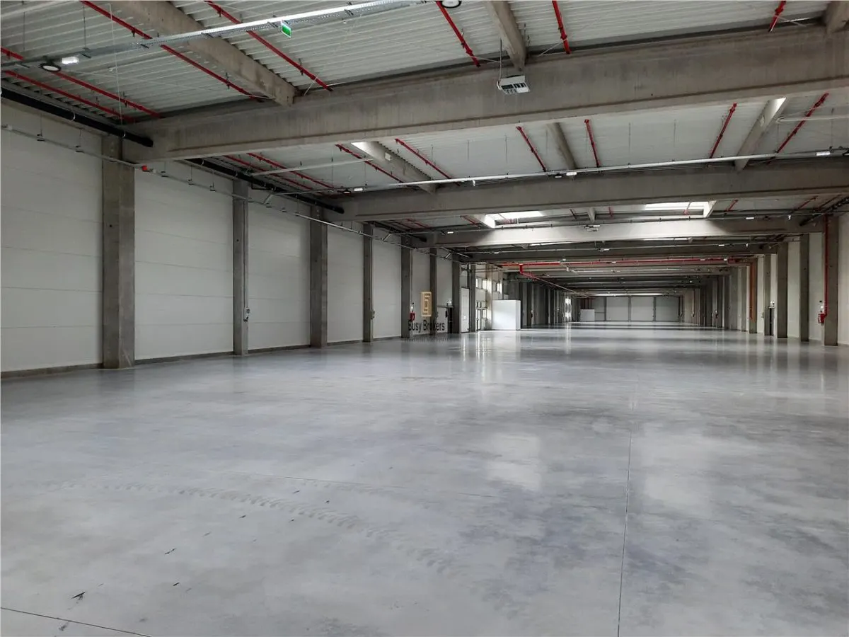 Spatiu Industrial - 2700 mp - Logistica - Productie - Depozitare - foto 18