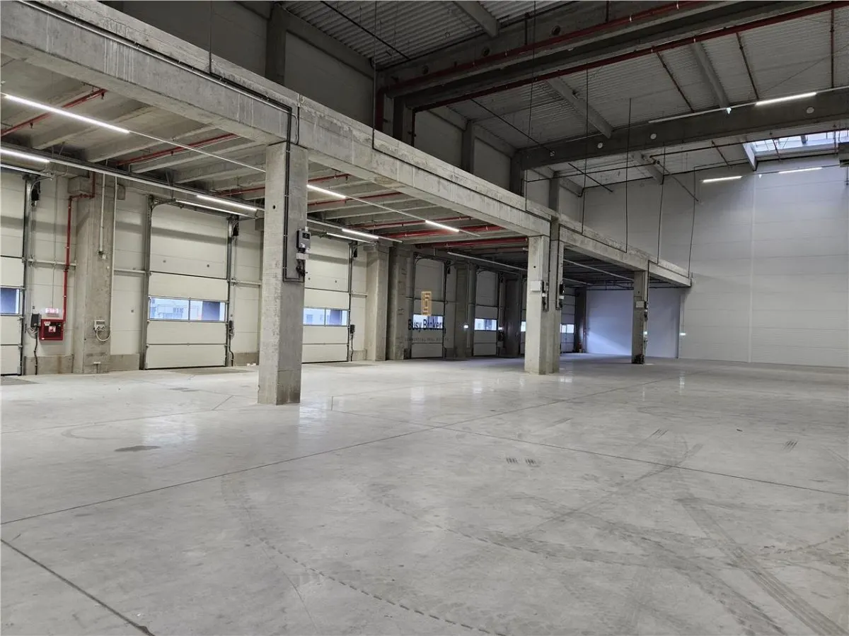 Spatii Industriale - 7000 mp - Logistica - Productie - Depozitare - foto 4