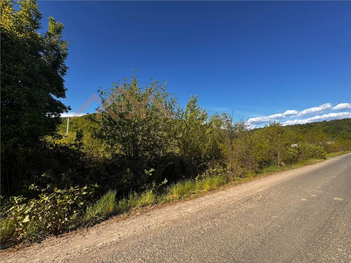 Teren intravilan, zona parc Hosteze, Tautii Magheraus - foto 2
