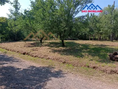 Teren intravilan,  2,5 ha, zona de deal in Seini - Seini