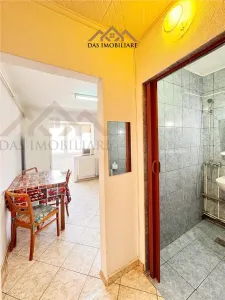 Dragos Voda, etaj 4, apartament cu 1 camera - Baia Mare