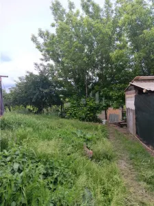 Ciurbesti TEREN 1347mp cu casa batraneasca 61mp utilitati trase panorama superba - foto 6