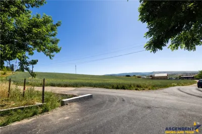 5 loturi casa Maierus,1.375mp,langa DN13, Doripesco,Brasov: 35min, zona verde:FILM! - foto 15