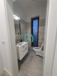 Casa de inchiriat,  Carpinis - foto 5