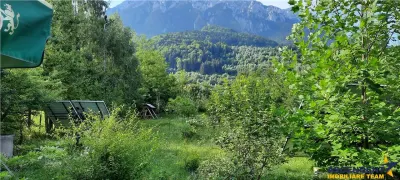 Pensiune turistica in Piatra Craiului, in circuitul  Plaiul Foii, 7700 mp teren - foto 12