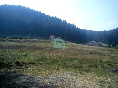 Teren Poiana Angelescu, Sacele, Brasov - foto 9