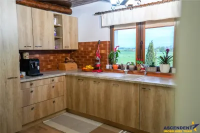Ferma+Anexe specifice+ Constructie rezidentiala+222.000 mp domeniu - foto 11
