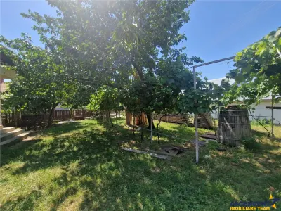 Casa traditionala, cu 2.000mp teren roditor, Izvoarele - foto 6