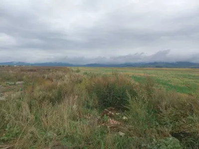 33.100mp, Tarlungeni, Brasov - foto 5