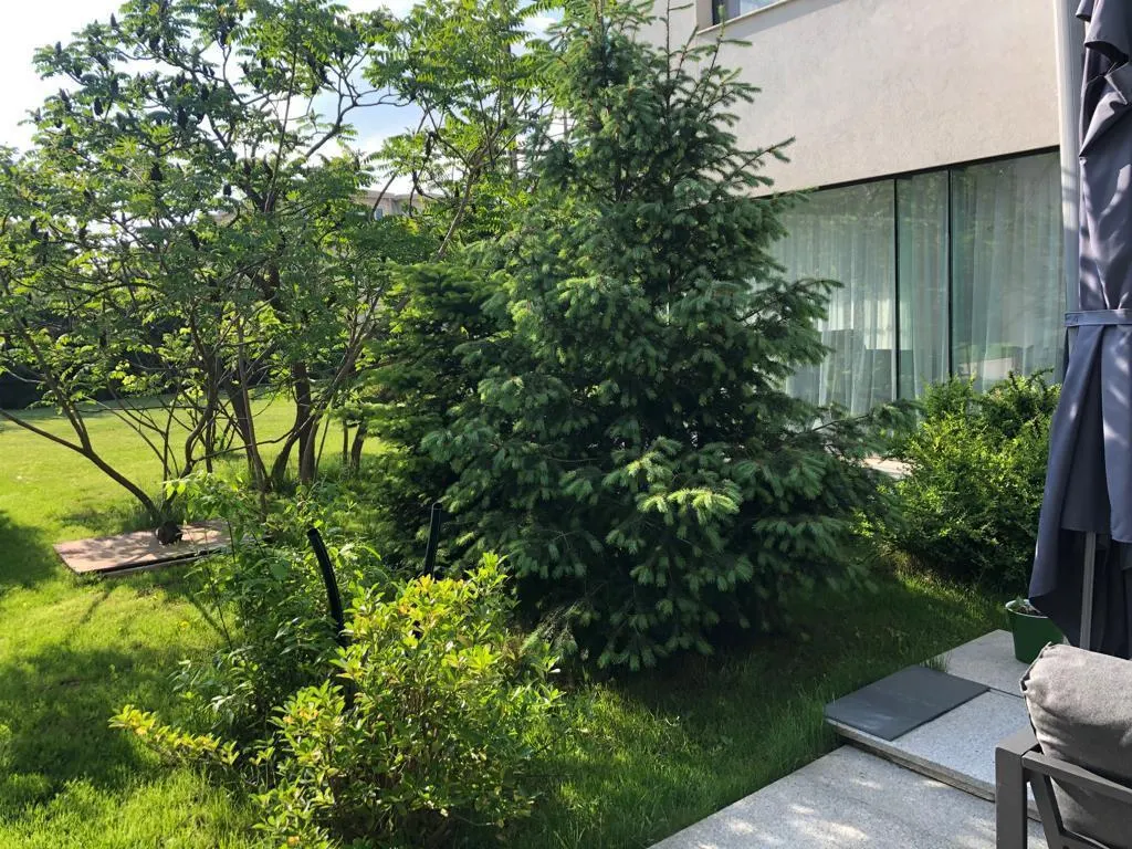 INCHIRIERE CASA VILA LUX individuala 6 camere EROU IANCU NICOLAE JOLIE VILLE BANEASA - foto 21