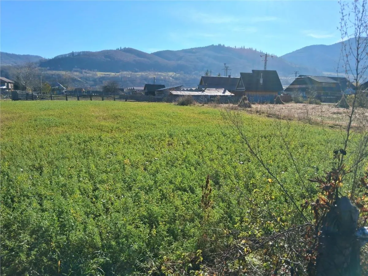 Teren intravilan Stejaru, plat, pretabil constructie, 1700mp - foto 1