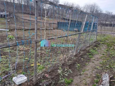 Casa cu 400 mp teren Bosanci - foto 6