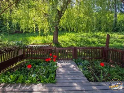Resedinta distinctiva, pe domeniu de 2.200mp,cadru exclusivist, Central, Brasov - foto 3
