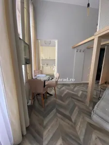Apartament 60 Euro pe zi, amenajat in stil unic langa Primaria Arad - Arad