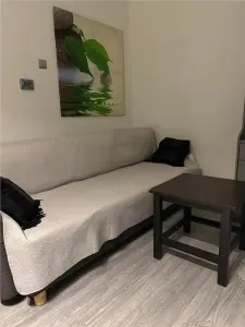 Langa Spitalul de Ochi Inchiriere in regim hotelier o garsoniera ultracentrala 15 mp - foto 4