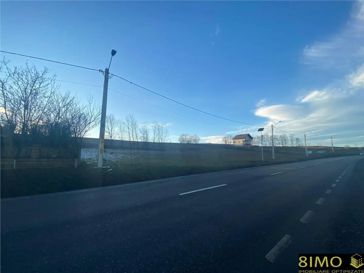 Teren de vanzare 80ml la E85 - foto 4