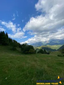 8.000 mp teren, Bran, Fundata, Brasov - foto 10
